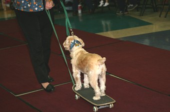 051031-ch-6611-med