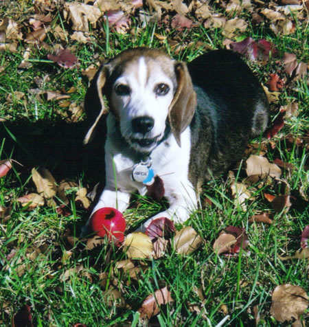 Dudley